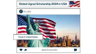 Image promoting the Global Undergraduate Exchange Program (Global Ugrad Scholarship) 2024 in the USA, featuring the Statue of Liberty, an American flag, and the NYC skyline with “Study in United States” and a website URL.