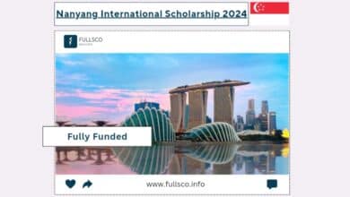 A promotional graphic for the 2024 Nanyang International Scholarship in Singapore, showcasing Marina Bay Sands and Gardens by the Bay at sunset, with Fully Funded and a Singapore flag featured prominently.