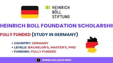 Image about the Heinrich Boll Foundation Scholarship program in Germany for 2024.