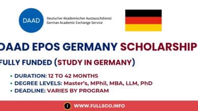 Image depicting DAAD EPOS Scholarship opportunities for 2025 in Germany.
