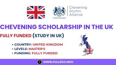 Image about the Chevening Scholarship application in the UK.
