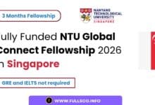 Image showing Fully Funded NTU Global Connect Fellowship in Singapore Details
