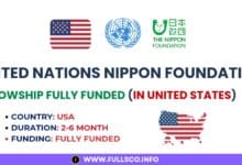 United Nations Nippon Foundation Fellowship Details Image